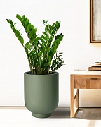 NEOST30-GRN Напольное кашпо для цветов IDEALIST Премиум Нео Сатин, высокое, Д30 В40 см, светло-зеленое, 20 литров