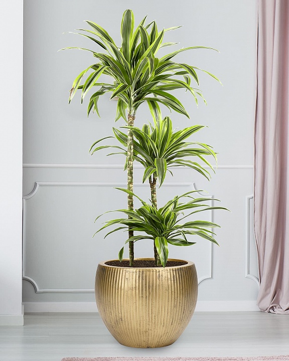 MAR49-GLD Напольное кашпо для цветов IDEALIST Премиум Марс, Д49 В38 см, золотое, круглое, 55 литров