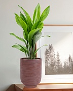 NEO24-BRN Напольное кашпо для цветов IDEALIST Премиум Нео, высокое, Д24 В32 см, цвет шоколад, 11 литров