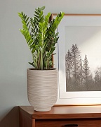 NEO24-BB Настольное кашпо для цветов IDEALIST Премиум Нео, высокое, Д24 В32 см, бежевое, 11 литров