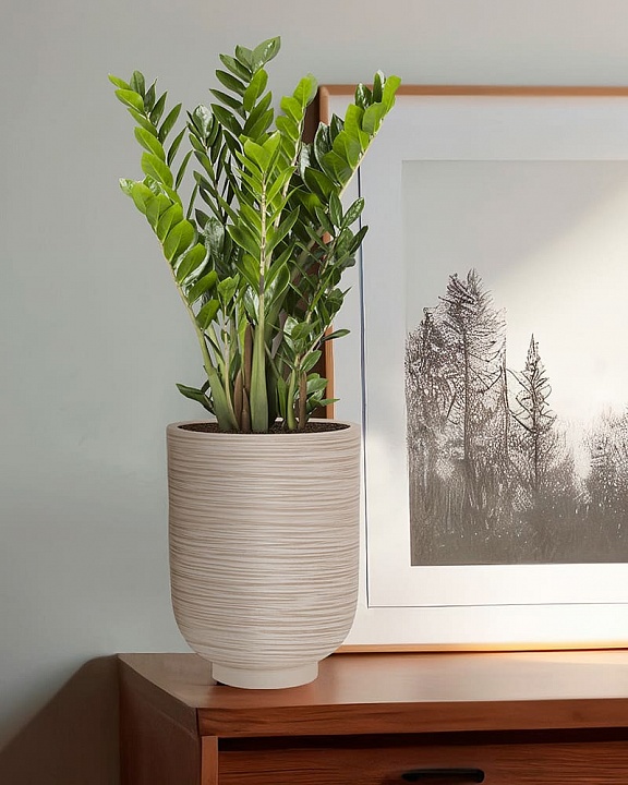 NEO24-BB Настольное кашпо для цветов IDEALIST Премиум Нео, высокое, Д24 В32 см, бежевое, 11 литров