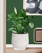 LIR43-AW Напольное кашпо для цветов IDEALIST Премиум Лира, Д43 В38 см, белое, круглое, 51 литр