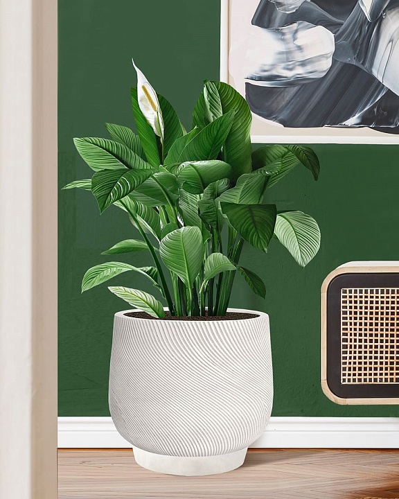 LIR43-AW Напольное кашпо для цветов IDEALIST Премиум Лира, Д43 В38 см, белое, круглое, 51 литр