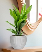 MAR29-AW Настольное кашпо для цветов IDEALIST Премиум Марс, Д29 В22, белое, круглое, 9 литров