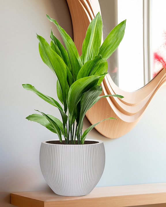 MAR29-AW Настольное кашпо для цветов IDEALIST Премиум Марс, Д29 В22, белое, круглое, 9 литров