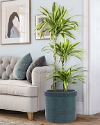 Напольное кашпо IDEALIST Lite Флоранжери, круглое, темно-зеленое Д42 В41 см