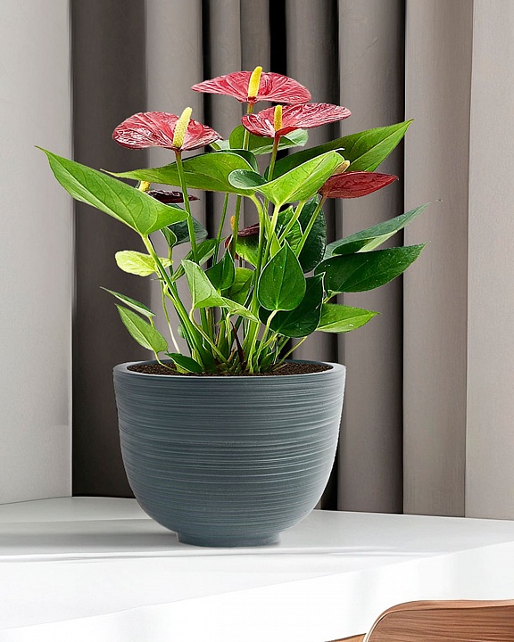 RIF24-GRN Настольное кашпо для цветов IDEALIST Премиум Риф, чаша, Д24 В18 см, темно-зеленое, 4 литра