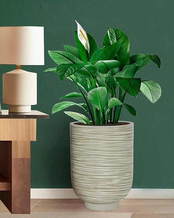 NEO44-GRN Напольное кашпо для цветов IDEALIST Премиум Нео, высокое, Д44 В58 см, зеленое, 78 литров