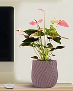 VELRV22-BRN Настольное кашпо для цветов IDEALIST Премиум Велюр, круглое, Д22 В22 см, цвет кофе, 7 литров