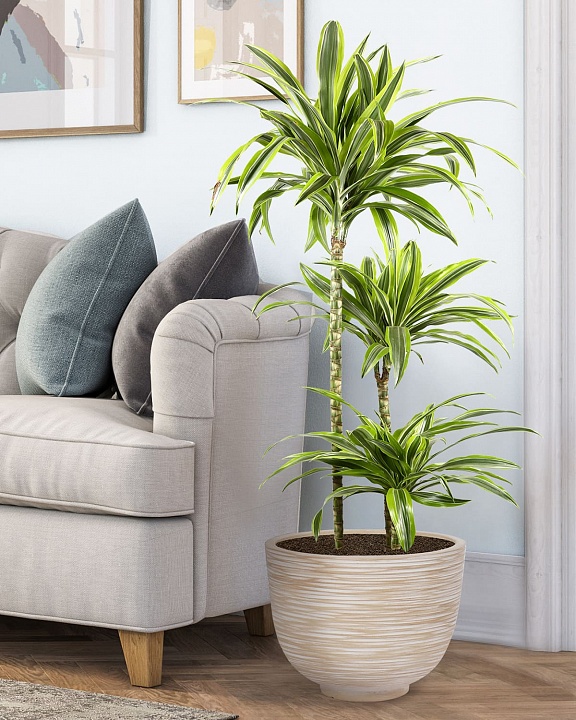 RIF36-BB Напольное кашпо для цветов IDEALIST Премиум Риф, чаша, Д36 В27 см, бежевое, 13 литров