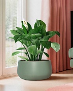 STN42-GRN Напольное кашпо для цветов IDEALIST Премиум Сатин, чаша, Д42 В21 см, зеленое, 27 литров