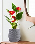 VELRV22-GR Настольное кашпо для цветов IDEALIST Премиум Велюр, круглое, Д22 В22 см, светло-серое, 7 литров