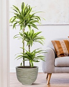 RIF36-WG Напольное кашпо для цветов IDEALIST Премиум Риф, чаша, Д36 В27 см, бело-зеленое, 13 литров