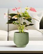 LIR24-GRN Настольное кашпо для цветов IDEALIST Премиум Лира, Д24 В21 см, зеленое, круглое, 10 литров