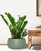 STN42-GRN Напольное кашпо для цветов IDEALIST Премиум Сатин, чаша, Д42 В21 см, зеленое, 27 литров