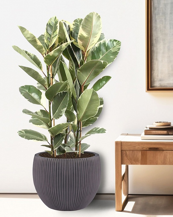 MAR49-BLK Напольное кашпо для цветов IDEALIST Премиум Марс, Д49 В38 см, черное, круглое, 55 литров