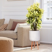 Напольное кашпо IDEALIST LITE Паттерн на ножках, круглое, слоновая кость, Д30 В49 см, высота ножек 22 см