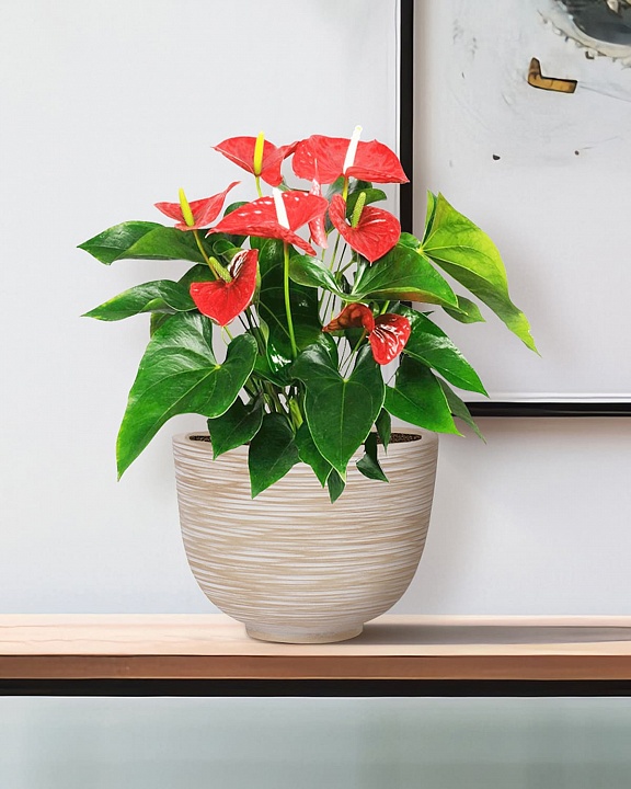 RIF30-BB Настольное кашпо для цветов IDEALIST Премиум Риф, чаша, Д30 В23 см, бежевое, 8 литров