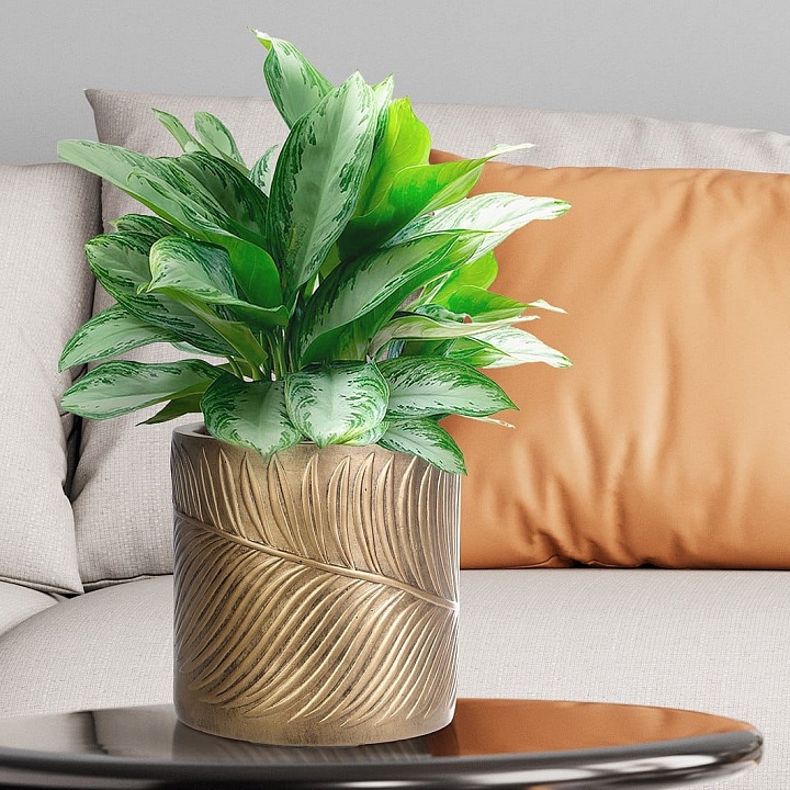 Настольное кашпо IDEALIST LITE Лист, файберстоун, золотистое, Д24 В24 см