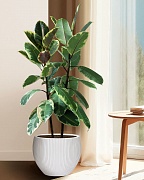 MAR36-AW Напольное кашпо для цветов IDEALIST Премиум Марс, Д36 В29, белое, круглое, 20 литров