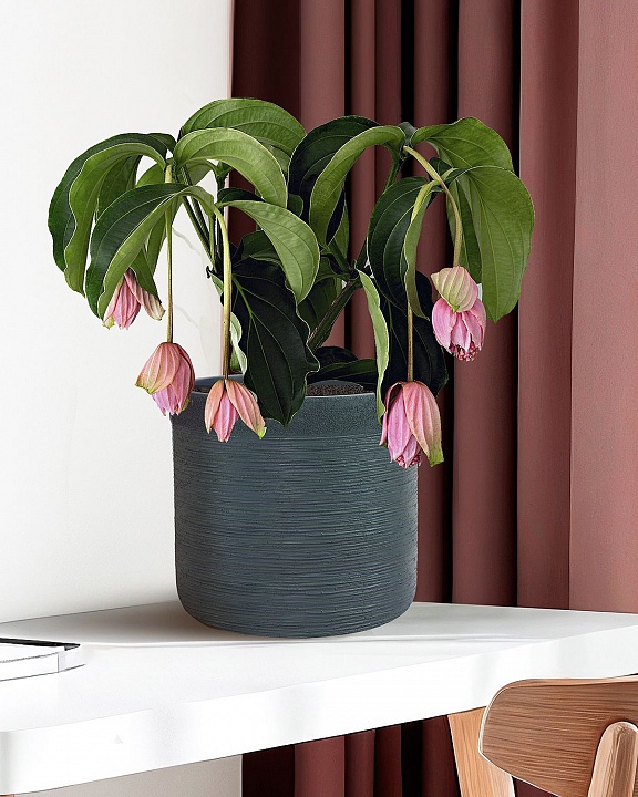 Настольное кашпо IDEALIST LITE Флоранжери, круглое, темно-зеленое, Д26 В25 см