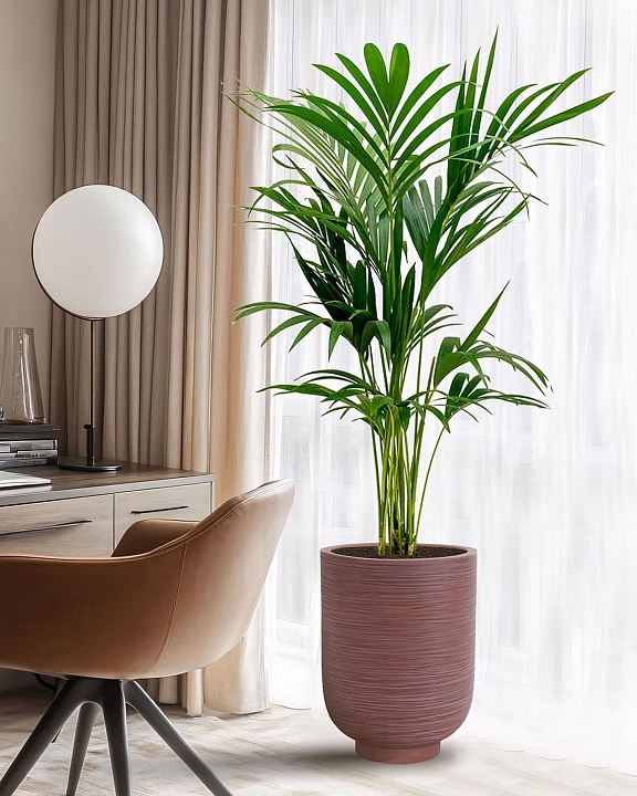 NEO30-BRN Напольное кашпо для цветов IDEALIST Премиум Нео, высокое, Д30 В40 см, цвет шоколад, 24 литра