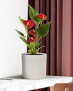 Настольное кашпо IDEALIST Lite Урбан, круглое, белое Д25.5 В25 см