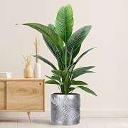 Настольное кашпо IDEALIST LITE Лист, файберстоун, серебристое, Д31 В31 см