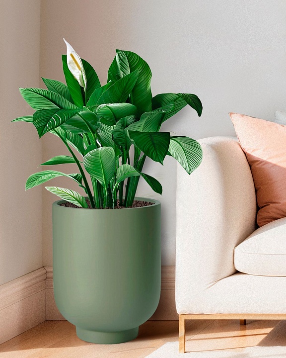 NEOST37-GRN Напольное кашпо для цветов IDEALIST Премиум Нео Сатин, высокое, Д37 В49 см, светло-зеленое, 40 литров