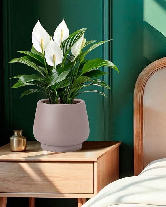 DUN24-BRN Настольное кашпо для цветов IDEALIST Премиум Дюна, Д24 В20 см, цвет кофе с молоком, чаша, 9 литров