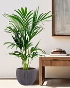 MAR36-BLK Напольное кашпо для цветов IDEALIST Премиум Марс, Д36 В29, черное, круглое, 20 литров