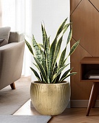 MAR36-GLD Напольное кашпо для цветов IDEALIST Премиум Марс, Д36 В29, золотое, круглое, 20 литров