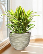 RIF36-WG Напольное кашпо для цветов IDEALIST Премиум Риф, чаша, Д36 В27 см, бело-зеленое, 13 литров