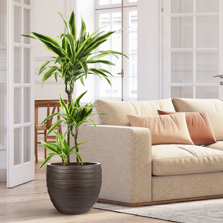 Напольное кашпо IDEALIST LITE Роу, круглое, коричневое, Д36 В31.5 см