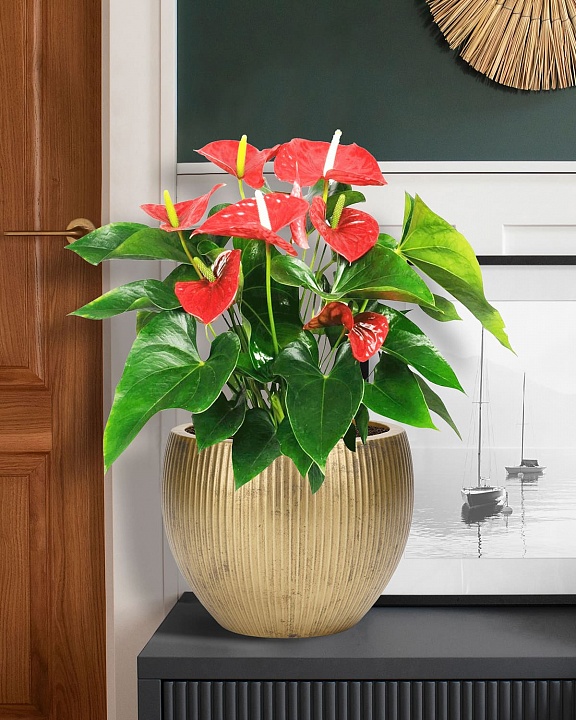 MAR29-GLD Настольное кашпо для цветов IDEALIST Премиум Марс, Д29 В22, золотое, круглое, 9 литров