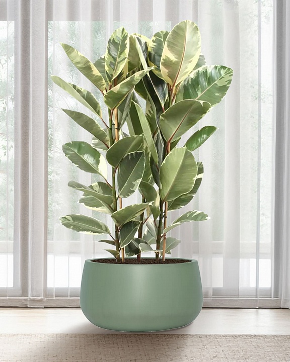 STN42-GRN Напольное кашпо для цветов IDEALIST Премиум Сатин, чаша, Д42 В21 см, зеленое, 27 литров