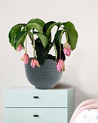 RIF30-GRN Настольное кашпо для цветов IDEALIST Премиум Риф, чаша, Д30 В23 см, темно-зеленое, 8 литров