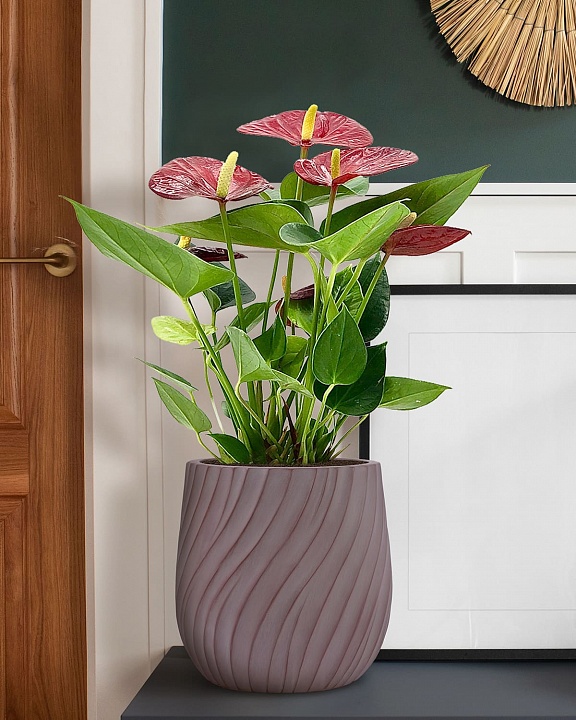 VELRV22-BRN Настольное кашпо для цветов IDEALIST Премиум Велюр, круглое, Д22 В22 см, цвет кофе, 7 литров