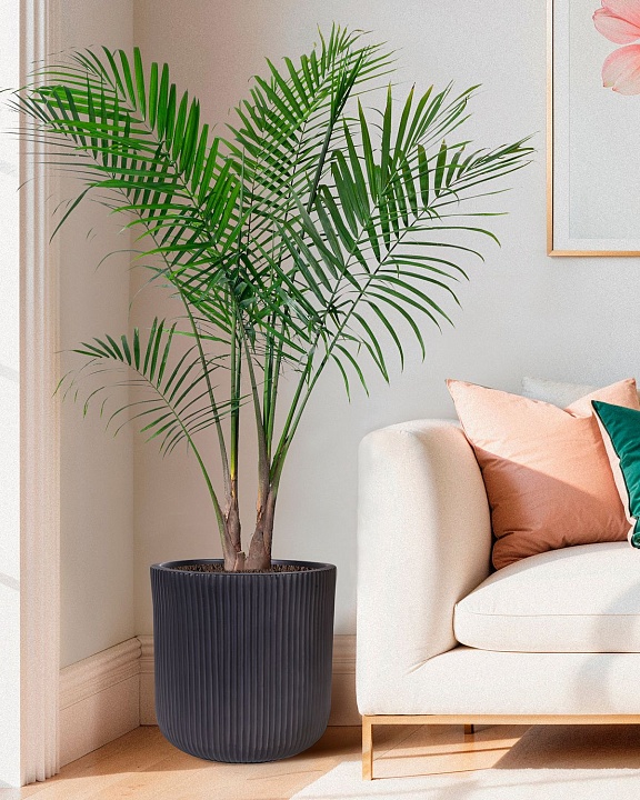 Напольное кашпо IDEALIST Lite Урбан, круглое, антрацит Д45 В45 см