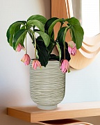 NEO24-GRN Напольное кашпо для цветов IDEALIST Премиум Нео, высокое, Д24 В32 см, зеленое, 11 литров