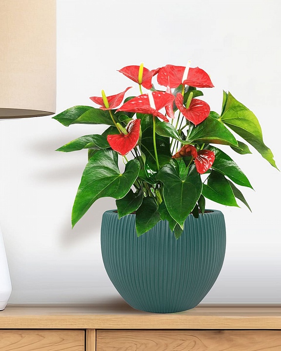 MAR29-GRN Настольное кашпо для цветов IDEALIST Премиум Марс, Д29 В22, изумрудное, круглое, 9 литров