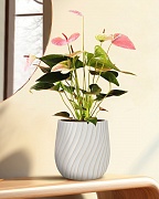 VELRV22-BB Настольное кашпо для цветов IDEALIST Премиум Велюр, круглое, Д22 В22 см, цвет айвори, 7 литров