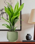 LIR24-GRN Настольное кашпо для цветов IDEALIST Премиум Лира, Д24 В21 см, зеленое, круглое, 10 литров