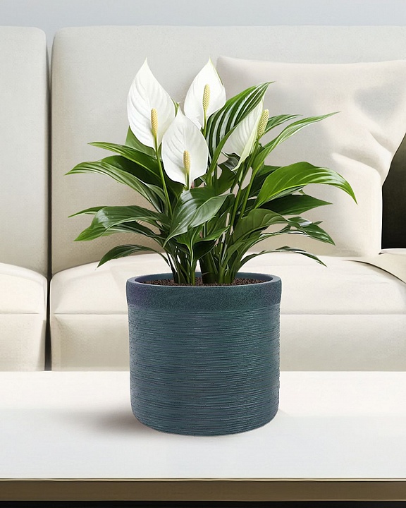 Настольное кашпо IDEALIST LITE Флоранжери, круглое, темно-зеленое, Д26 В25 см