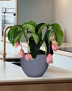 MAR29-GR Настольное кашпо для цветов IDEALIST Премиум Марс, Д29 В22, серое, круглое, 9 литров