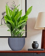 MAR29-GR Настольное кашпо для цветов IDEALIST Премиум Марс, Д29 В22, серое, круглое, 9 литров