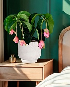 LIR24-AW Настольное кашпо для цветов IDEALIST Премиум Лира, Д24 В21 см, белое, круглое, 10 литров