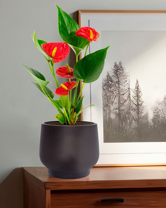 LIR24-BLK Настольное кашпо для цветов IDEALIST Премиум Лира, Д24 В21 см, черное, круглое, 10 литров