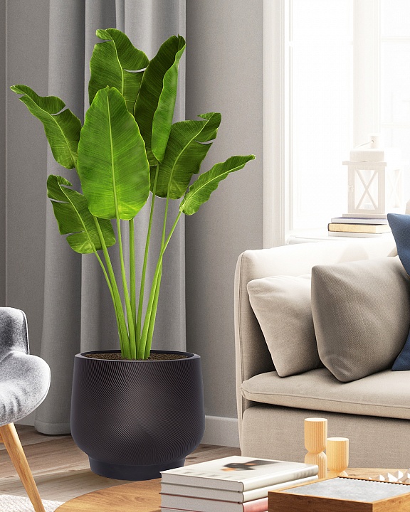 LIR43-BLK Напольное кашпо для цветов IDEALIST Премиум Лира, Д43 В38 см, черное, круглое, 51 литр