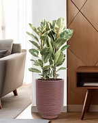 NEO30-BRN Напольное кашпо для цветов IDEALIST Премиум Нео, высокое, Д30 В40 см, цвет шоколад, 24 литра